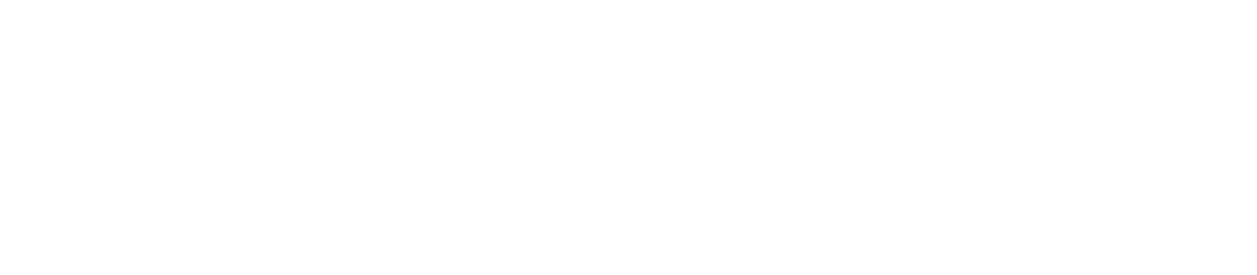 The Pilates Project